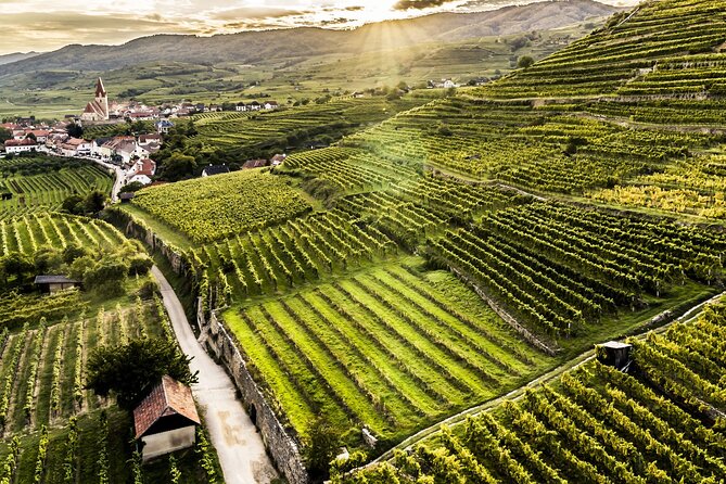 3 Castles & Wine Private Tour in Wachau Valley (incl. Melk Abbey) - The ride back to Vienna