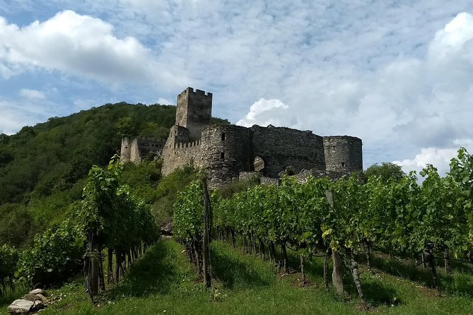 3-Hour Private Hiking Tour to historic places around Spitz in Wachau Valley - From Vienna Hauptbahnhof to the Wachau Valley