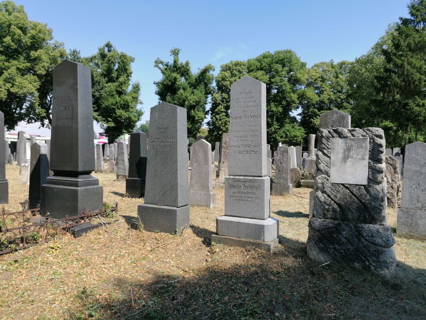 3-Hour Walking Tour of Vienna Central Cemetery - Who Should Book This Cemetery Walk?