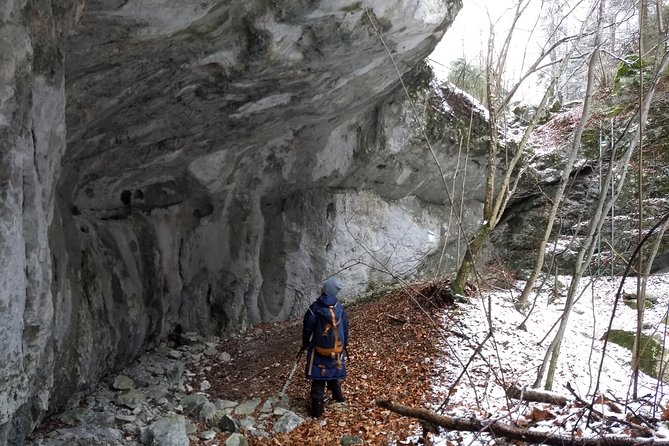 4-Hour Private Alpine Great George at High Wall Mountain from Vienna - Who will enjoy this tour most?