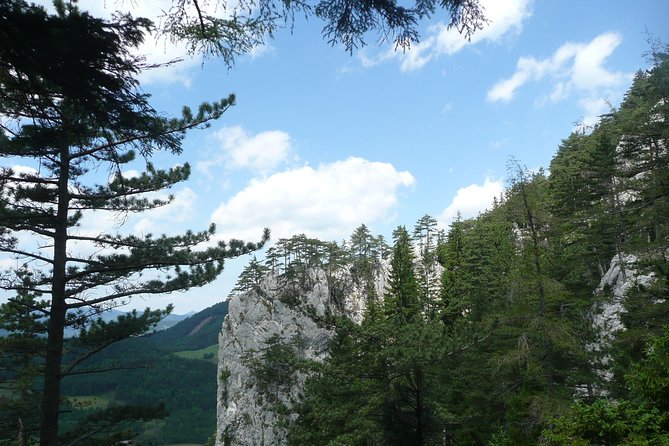 4-Hour Private Alpine Great George at High Wall Mountain from Vienna - Ladders, rungs, and the Great Gorge