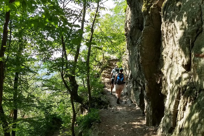 4-Hour Private Alpine Hiking Tour 'In the footsteps of king Lionheart' - Free time in Dürnstein after the hike