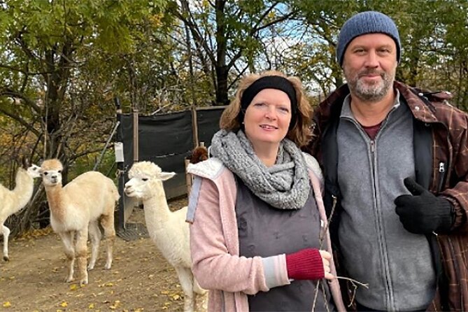 Alpaca and llama hike Moedling near Vienna - Walking with alpacas and llamas near Vienna