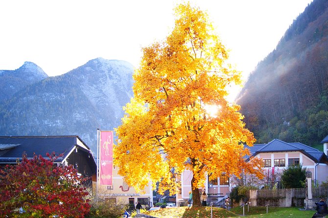 Alpine Hallstatt Day Trip from Vienna incl. Admont Abbey Visit - Is $167.75 good value for this distance?