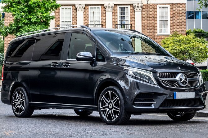 Arrival Private Transfer from Vienna Airport VIE to Vienna City by Luxury Van - Who will appreciate this transfer most