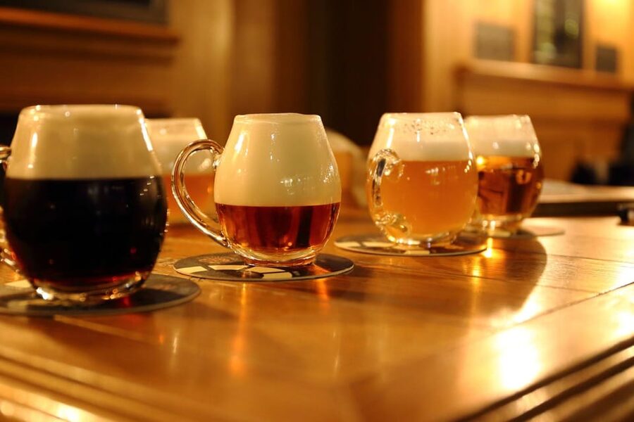 Austrian Beer Tasting and Self-Guided Tour of Vienna - What the $11 price buys you