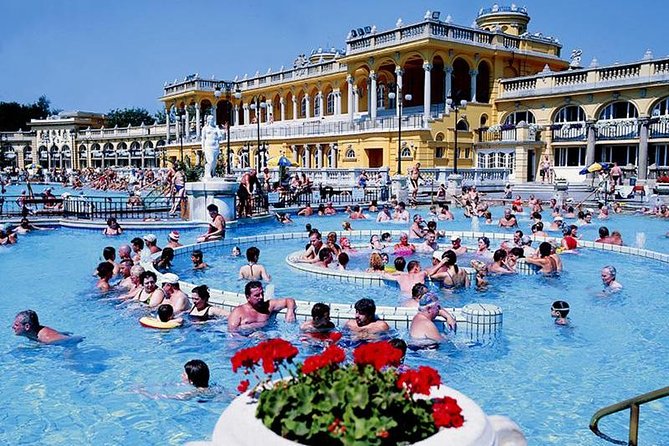 Budapest private day trip from Vienna - The early departure and the Austrian countryside