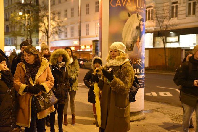 Christmas Market Vienna Tour - The guide can make or break the evening