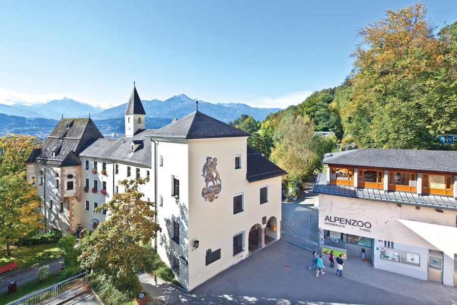 Combi Entrance Ticket to Alpine Zoo and Hungerburg - From Innsbruck’s old town to the Nordkette foothills