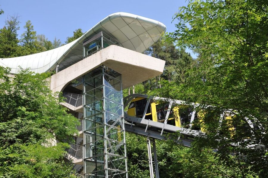 Combi Entrance Ticket to Alpine Zoo and Hungerburg - Alpine Zoo: a focused look at European mountain wildlife