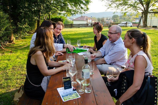 Countryside Half Day Wine Tour near Vienna - Key points at a glance