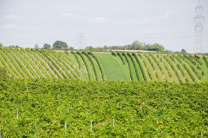 Countryside Half Day Wine Tour near Vienna - Does the $145 price offer good value?