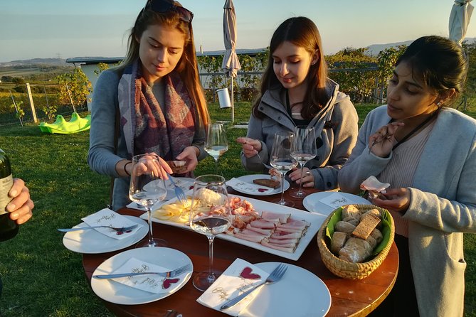 Countryside Half Day Wine Tour near Vienna - Who should book this outing?
