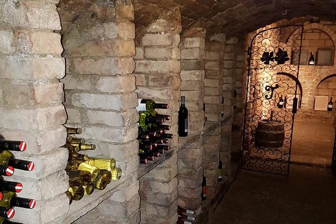Countryside Half Day Wine Tour near Vienna - The ride out from central Vienna