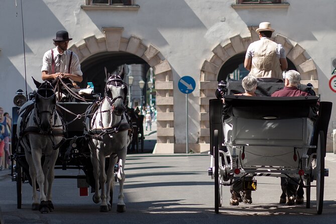 Exclusive Vienna Old Town Highlights Walking Tour (max. 6 persons) - Meeting under the green umbrella at Albertinaplatz