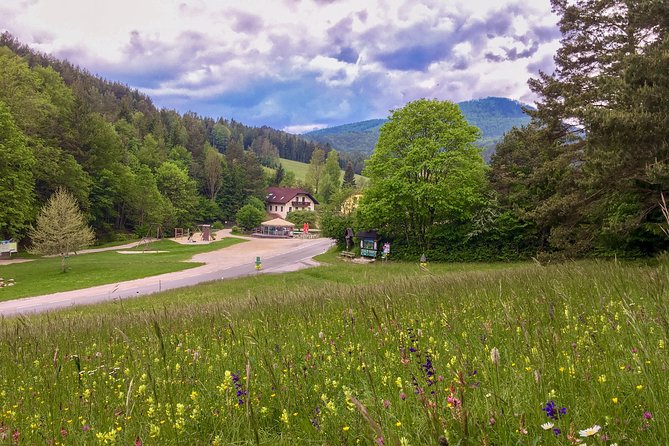 Exploring the Gutenstein Alps - Forest paths and the first Schneeberg viewpoint