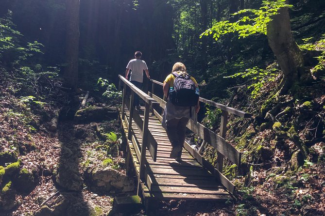Exploring the Gutenstein Alps - Weather, gear, and the small details that matter