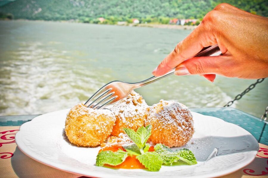 From Krems: Wachau Valley River Cruise on the Danube - Why the Wachau looks best from the Danube