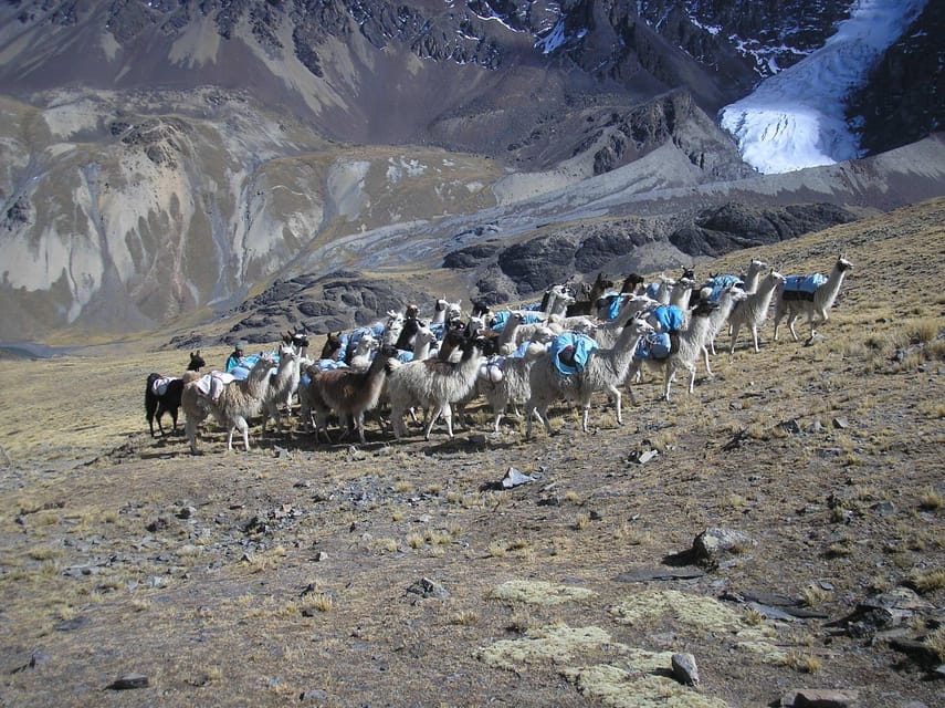 From La Paz: Condoriri Andes, Pico Austria Full Day Hiking - Guide, group size, and what is included