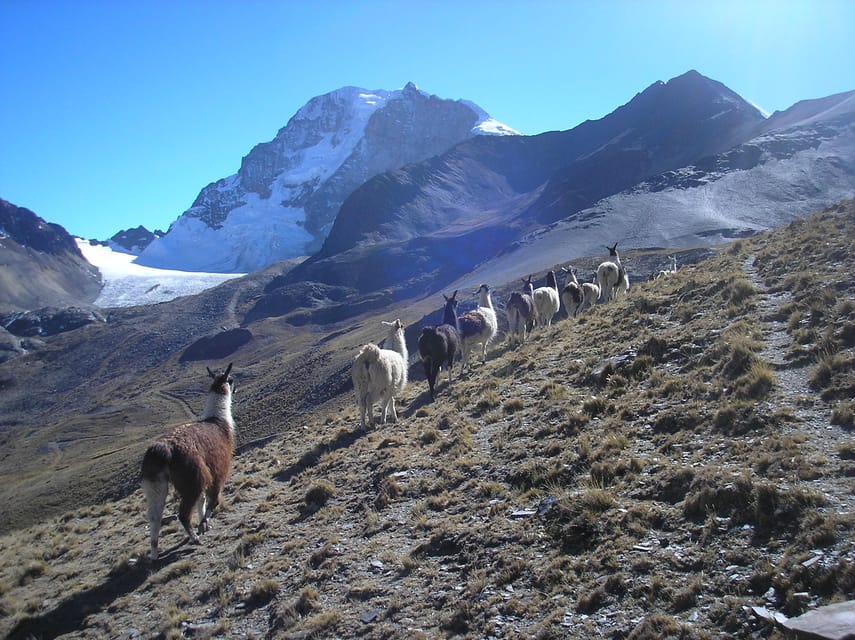 From La Paz: Condoriri Andes, Pico Austria Full Day Hiking - The best season and the right preparation