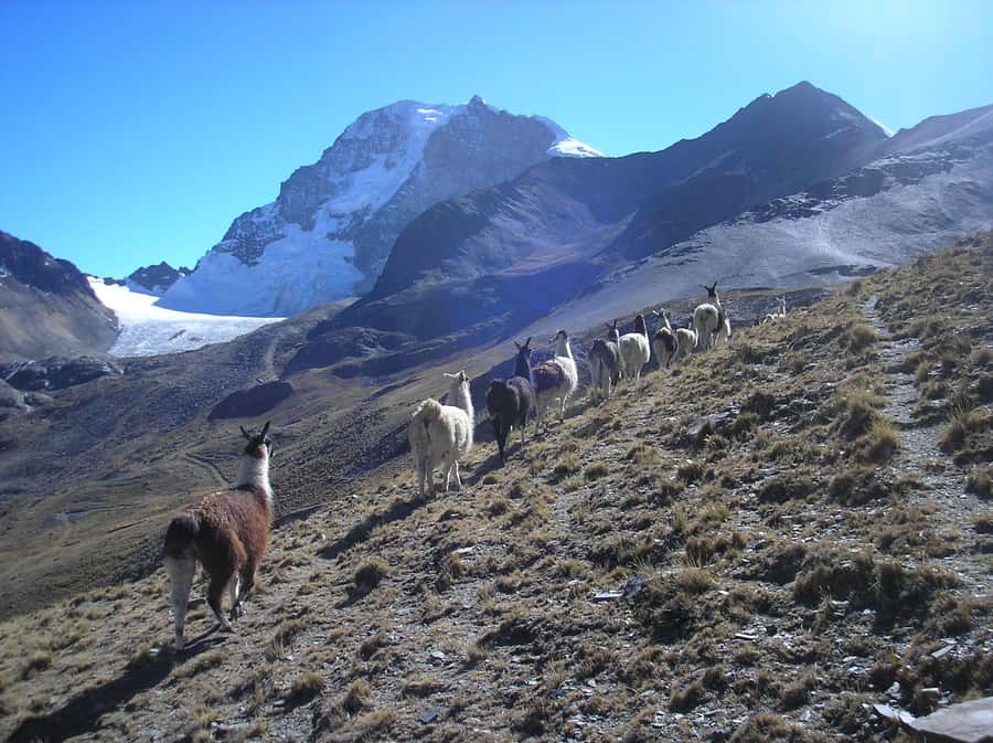From La Paz: Condoriri Andes, Pico Austria Full Day Hiking - Who should book this Condoriri hike?