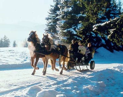 From Salzburg: 8-hour Horse-Drawn Tour w/ 2-hour Sleigh Ride - From Salzburg to Ramsau am Dachstein