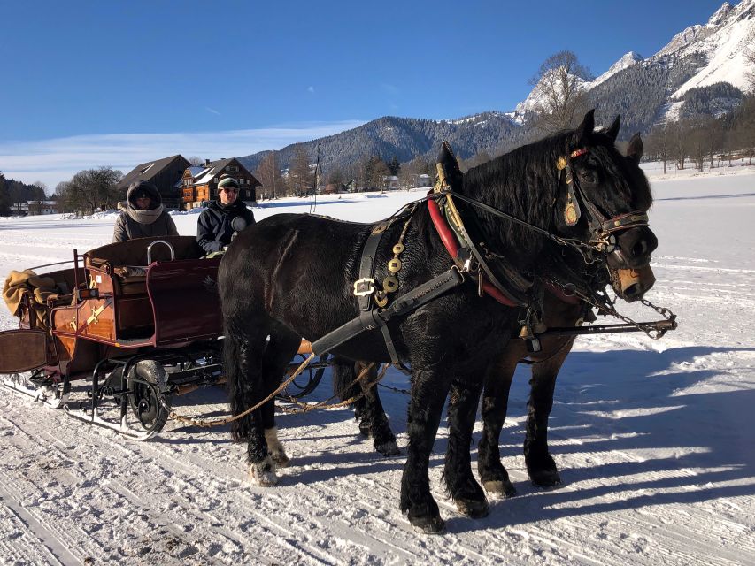 From Salzburg: 8-hour Horse-Drawn Tour w/ 2-hour Sleigh Ride - The two-hour horse-drawn sleigh ride