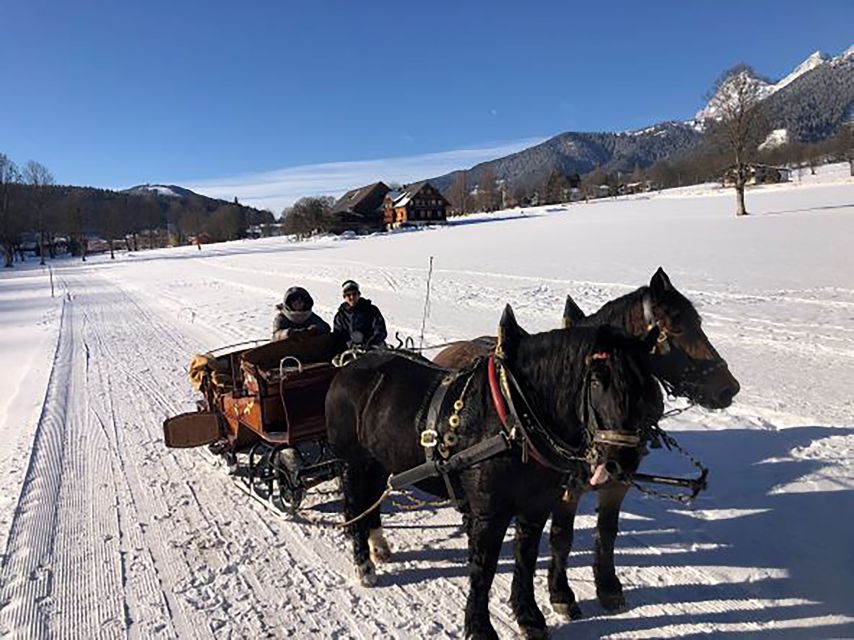 From Salzburg: 8-hour Horse-Drawn Tour w/ 2-hour Sleigh Ride - The return route through Filzmoos