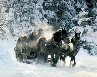 From Salzburg: 8-hour Horse-Drawn Tour w/ 2-hour Sleigh Ride - Why Ramsau is worth the long ride