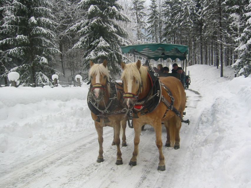 From Salzburg Romantic Carriage Ride through the Countryside - Booking details that matter