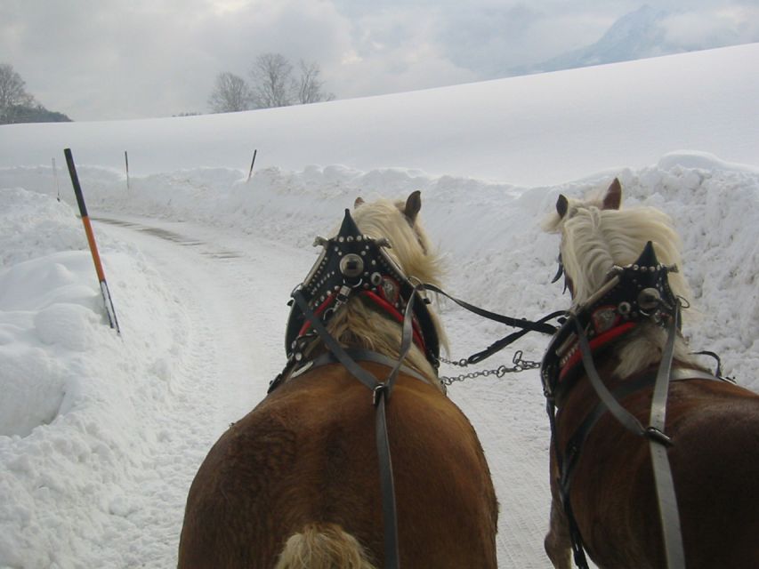From Salzburg Romantic Carriage Ride through the Countryside - Free time in St Wolfgang