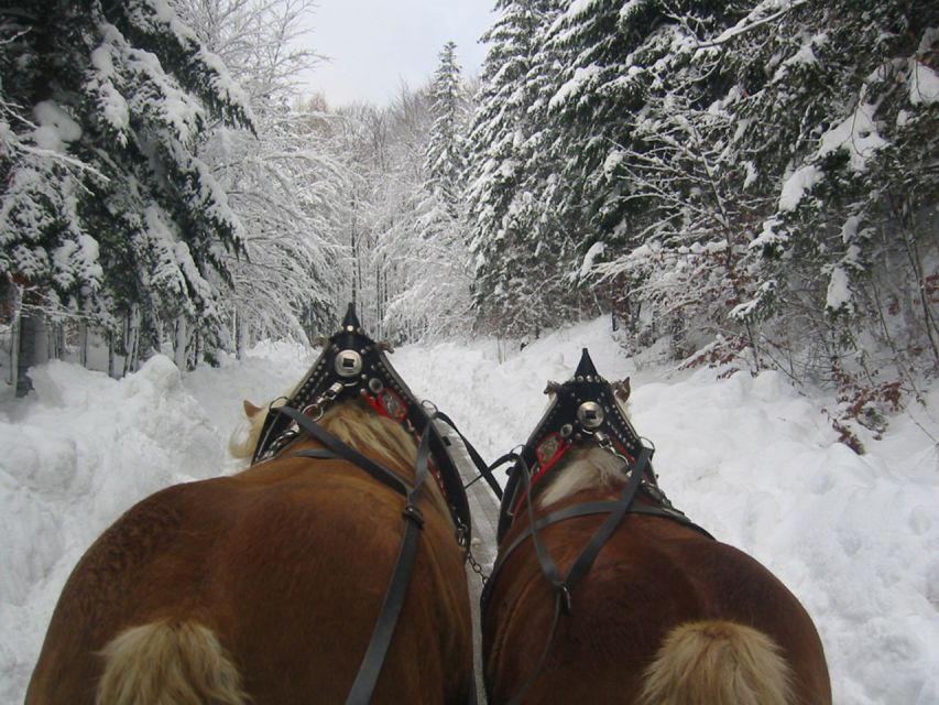 From Salzburg Romantic Carriage Ride through the Countryside - What the guides add to the outing