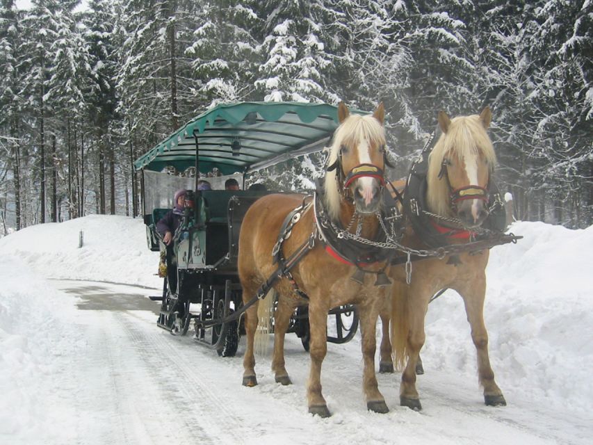 From Salzburg Romantic Carriage Ride through the Countryside - Who will enjoy this private Salzburg excursion?