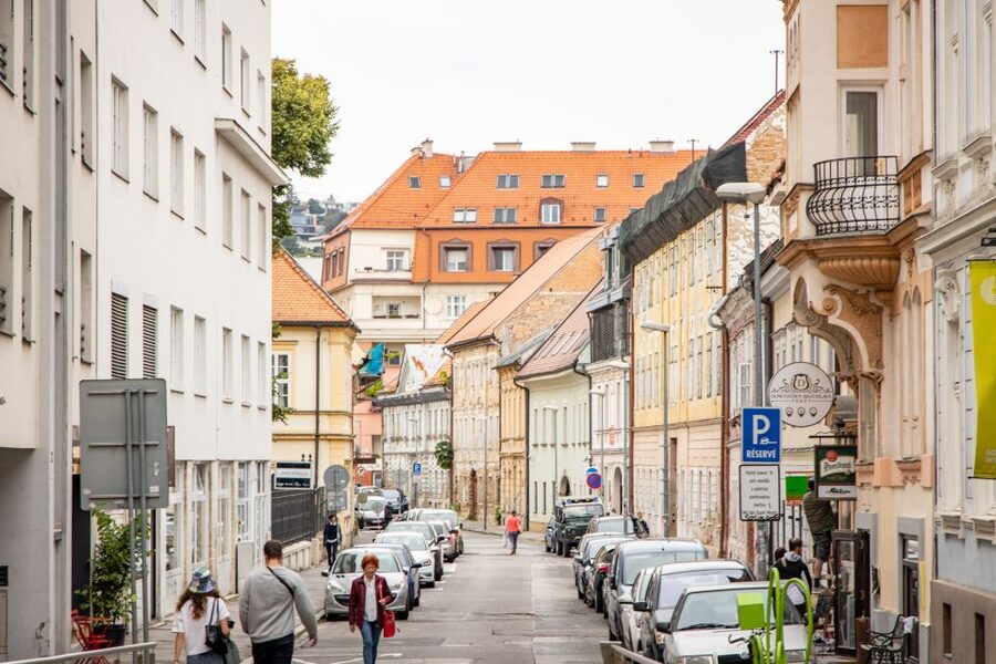 From Vienna: Bratislava Day Trip - The one-hour panoramic car tour