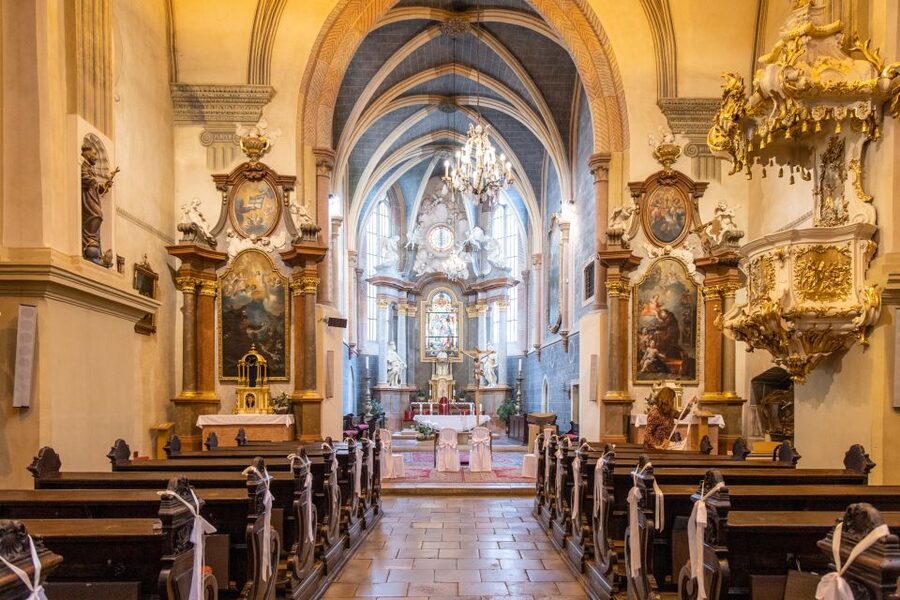 From Vienna: Bratislava Day Trip - Three hours to make Bratislava your own