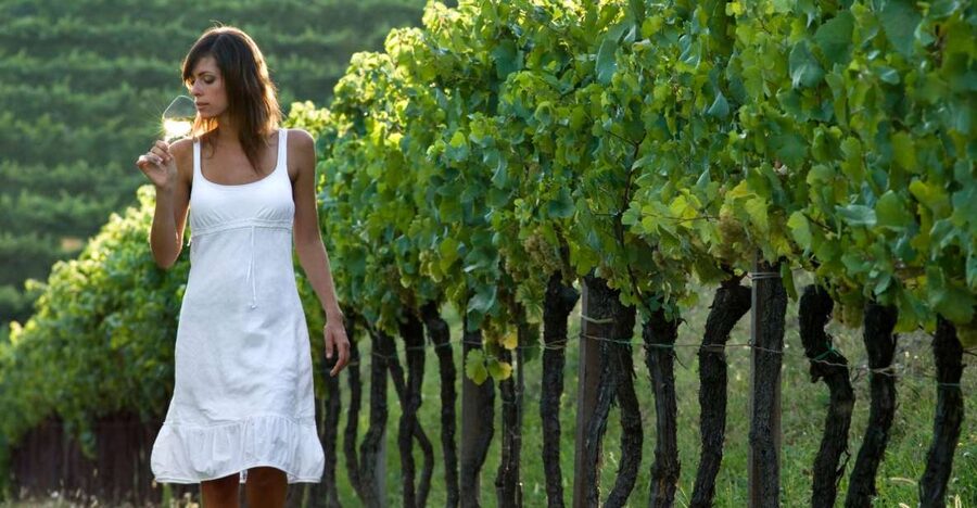 From Vienna: Half-day Countryside Wine Tour with Meal - Second stop: another cellar, another character