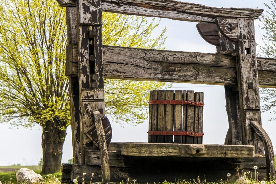 From Vienna: Half-day Countryside Wine Tour with Meal - Eight wines or twelve: choosing the right version