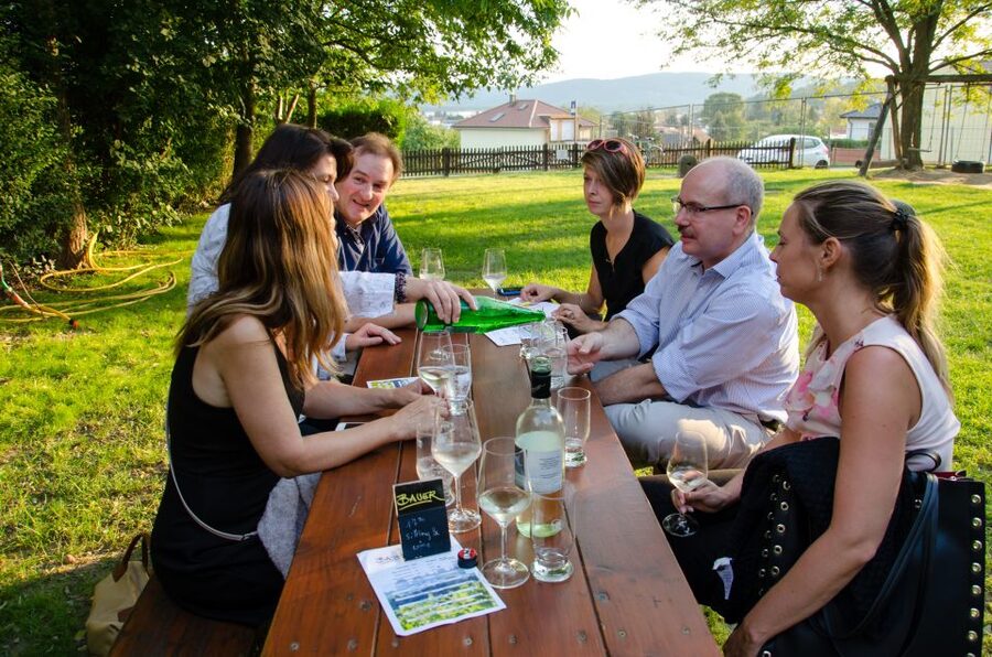 From Vienna: Half-day Countryside Wine Tour with Meal - The final stop: Austrian food with the last pours