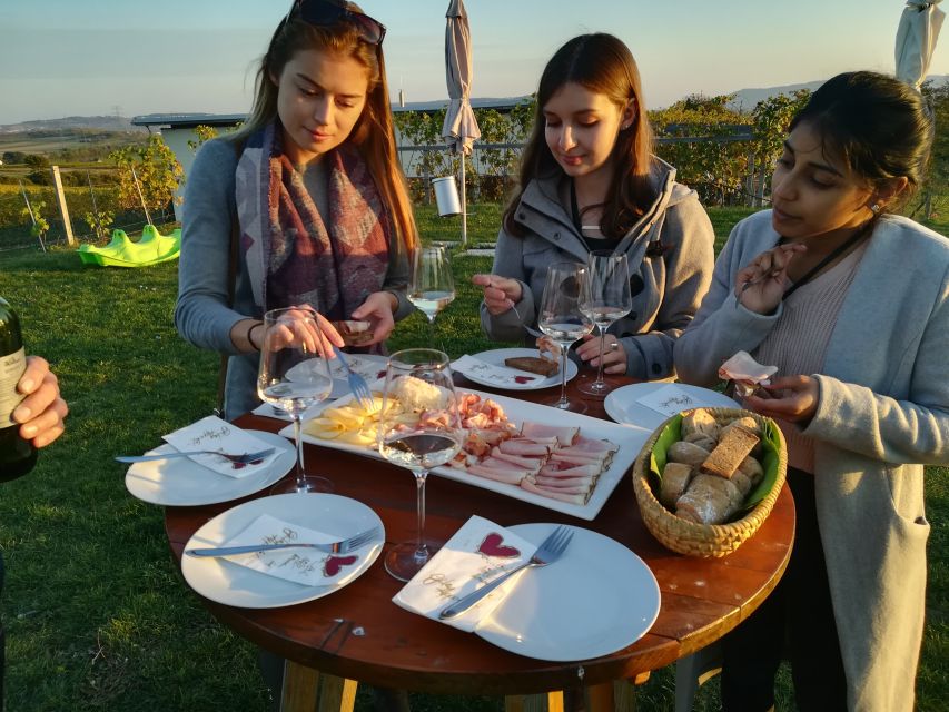 From Vienna: Half-day Countryside Wine Tour with Meal - Practical tips for a better half day