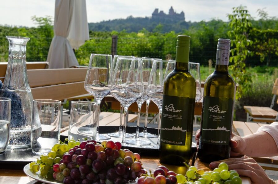 From Vienna: Half-day Countryside Wine Tour with Meal - First winery: small-scale wine with a personal welcome