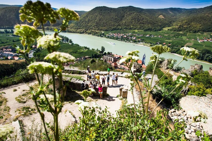 From Vienna: Wachau Valley Day Tour with Wine Tasting - Lunch in Weißenkirchen and local food
