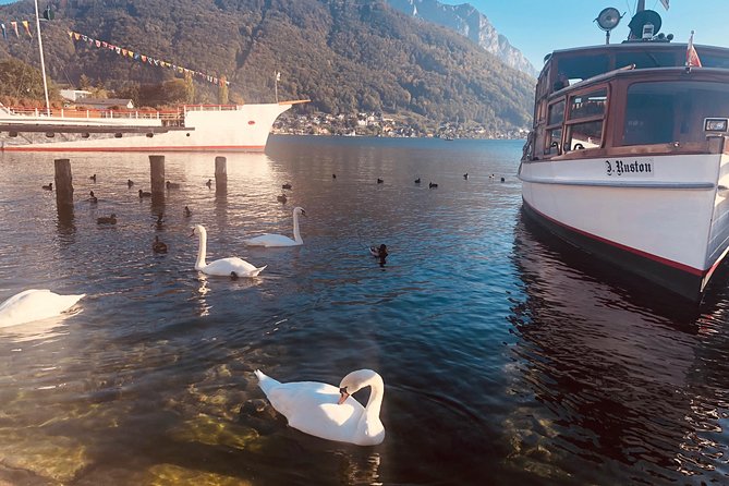 Fully private - SALZBURG, HALLSTATT & MELK ABBEY! - What this Vienna day trip is trying to accomplish