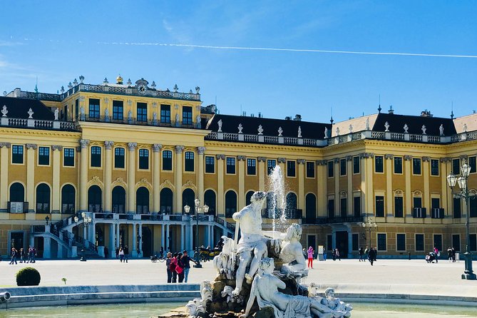 Grand Schoenbrunn Palace and Carriage Museum Tour Small Group - The Great Parterre and Neptune Fountain