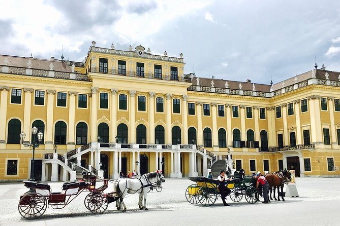 Grand Schoenbrunn Palace and Carriage Museum Tour Small Group - Roman Ruin, plants, and the Orangery