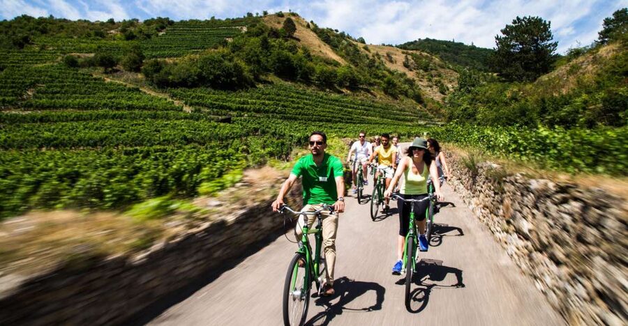Grape Grazing: Wachau Valley Winery Biking Tour - Key points to know before booking