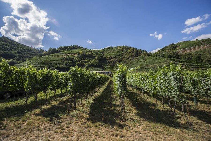 Grape Grazing: Wachau Valley Winery Biking Tour - Why the Wachau works so well by bicycle
