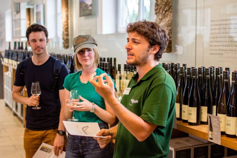 Grape Grazing: Wachau Valley Winery Biking Tour - Can you swim in the Danube?