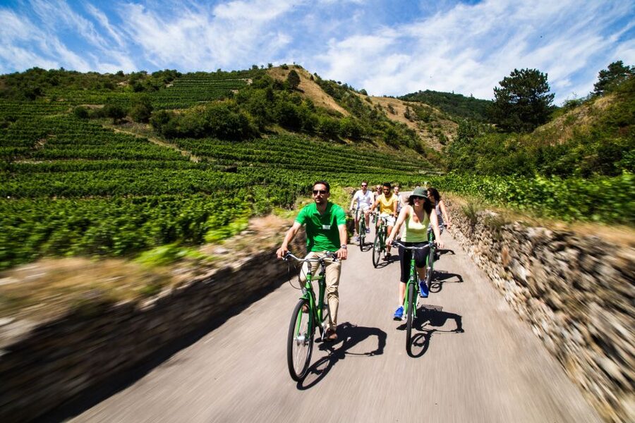Grape Grazing: Wachau Valley Winery Biking Tour - Leaving Vienna for Krems