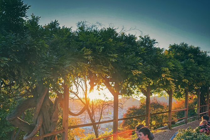 Graz Funicular Ride and Schlossberg Picnic Experience - Why Schlossberg is the right place for a Graz picnic