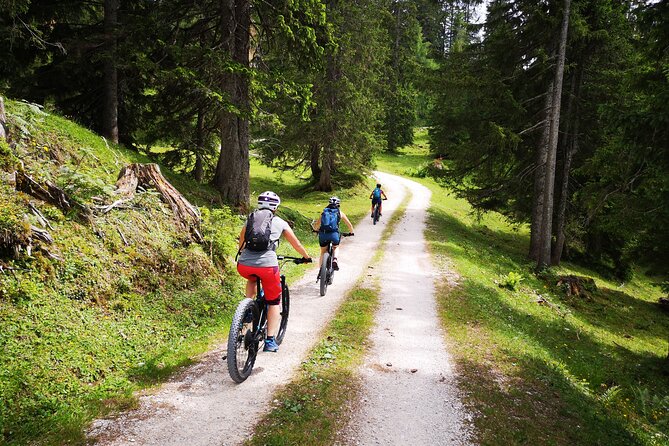 Guided e-bike tour of the alpine pastures in the Salzkammergut - Iglmoosalm and the first mountain reward